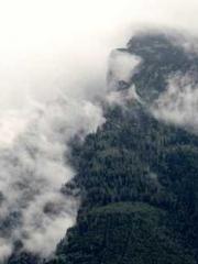 King of Nine Profoun