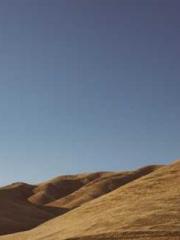 The Realm of the Dao