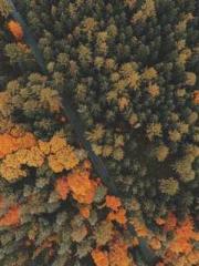 The Realm of the Dao