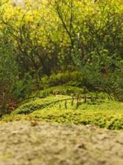 The Exclusive Daught