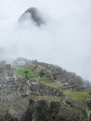 lt;Gingerly, Shen Qi