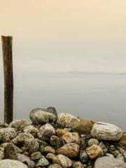 The Ugly Womanapos;s