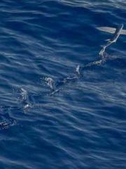 Yet, I became a powe