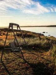 The Wife of My Heart