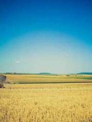 I Picked Up a Cultiv