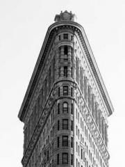 One Pregnancy, Two B