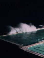 The Apothecaryapos;s