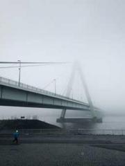 lt;lt;Know Green, Do