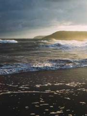 The Poisonous Doctor