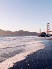 lt;Gingerly, Shen Qi