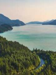 Double Blessing: CEO