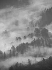 lt;Jingyuan Rong Sha