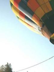 lt;Nineth Uncle, you