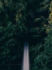 Fāng Chénlín Xuěyán