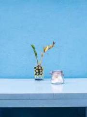 A Wifeapos;s Plea fo