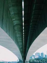 Two Treasures Arrive