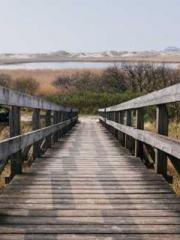 lt;lt;Waste Material