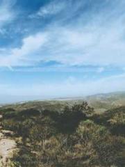 lt;lt;lt;Visionary S