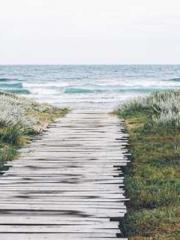 lt;lt;lt;Reborn Soar