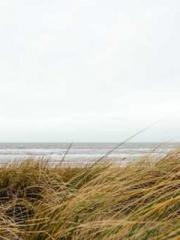 Bones-Eating Marriag