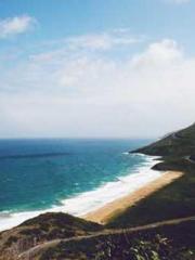 My pets are all amaz