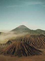 The Exclusive Daught