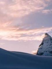 The Imperial Concubi