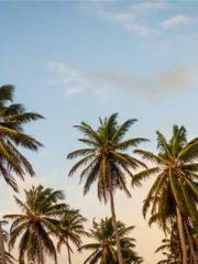 lt;lt;The Trash Husb