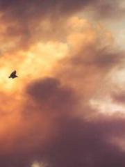 The Realm of the Dao