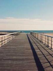 The Ugly Womanapos;s