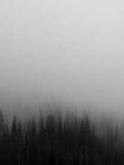 Bodhisattva of Compa