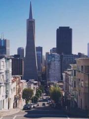 lt;Liang Yimo Cold N