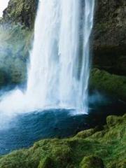 One Night Marriage P