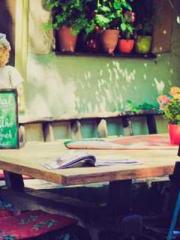 lt;Liang Yimo Cold N