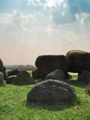 Become a big shot in