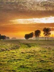 lt;lt;lt;Reborn Soar