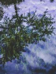 The Ugly Womanapos;s