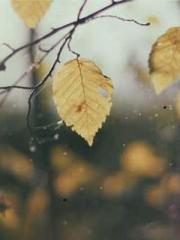 Jiang Mingzhu Zhou L